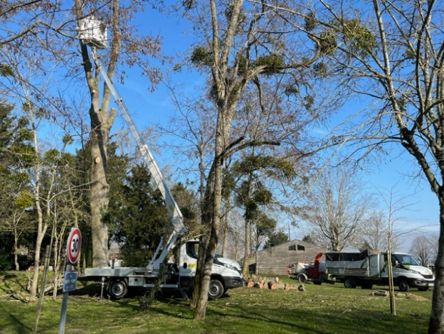 Élagage & abattage arbres